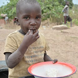 Humanitarian 101: Food and Agriculture