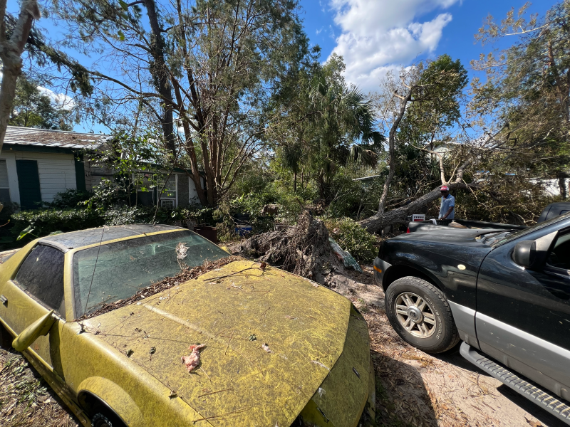 IMG_6505 Hurricane destruction